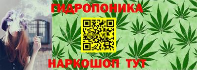 прущий лед Бердск